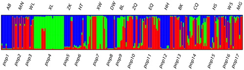 Figure 2. Clusters of individuals by STRUCTURE analysis at K = 3.