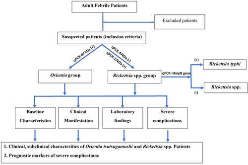 Figure 1 Study design flowchart.