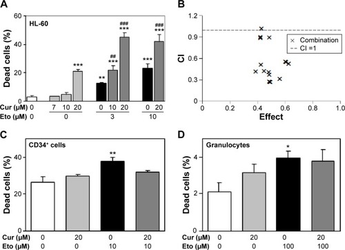 Figure 1 Influence of curcumin on cytotoxicity induced by etoposide in HL-60 cells, primary CD34+ cells, and granulocytes.