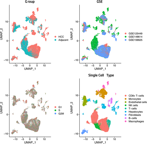 Figure 3 Single-cell RNA-sequencing analysis identified based on the HCC vs adjacent para-cancerous liver tissue, GSE categories, cell cycles, and major clusters of the cells.
