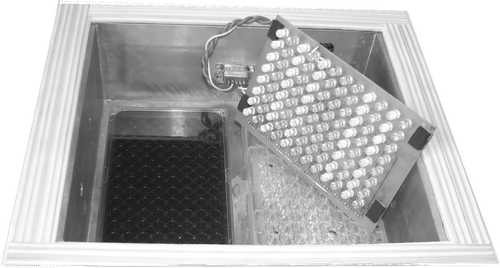 Fig. 2. Internal view of the incubator with two microtitre plates and the diode matrix attached but turned over to show the individual diodes with alternate rows illuminated.