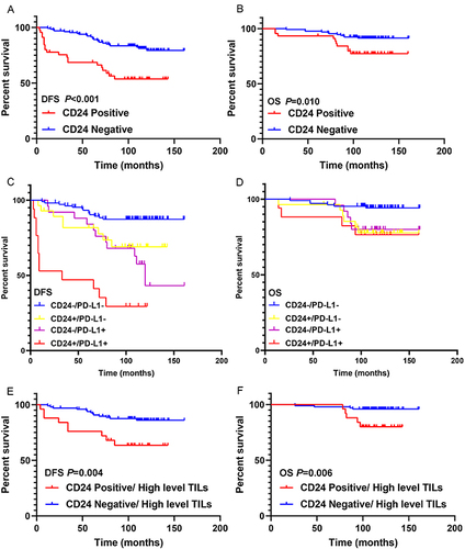Figure 5 Effect of CD24 expression, PD-L1 expression, and TIL level on the survival outcomes of patients with TNBC. (A) DFS curve based on CD24 expression in all patients with TNBC. (B) OS curve based on CD24 expression in patients with TNBC. (C) DFS curve based on CD24 and PD-L1 expression in patients with TNBC. (D) OS curve based on CD24 and PD-L1 expression in patients with TNBC. (E) DFS curve based on CD24 expression in TNBC patients with high TIL level. (F) OS curve based on CD24 expression in TNBC patients with high TIL level.