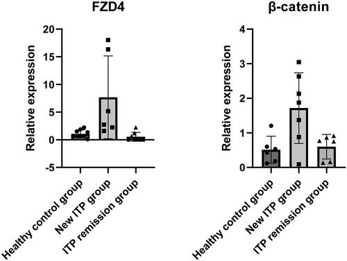 Figure 8. The expression of FZD4 and β-catenin in nITP, cr-ITP, and healthy controls. The expression of FZD4 in nITP (7.68 ± 6.83) was significantly higher than healthy controls (1.08 ± 0.66) and cr-ITP (0.55 ± 0.75) (p < 0.05). the expression of β-catenin in nITP patients (1.72 ± 0.95) was significantly higher than healthy controls (0.51 ± 0.36) and cr-ITP (0.60 ± 0.32) (p < 0.05).
