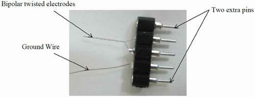 Figure 1. Bipolar-twisted electrodes. Two extra pins were considered in order to prevent the electrode and the ground wire pins to get damaged by the rats.