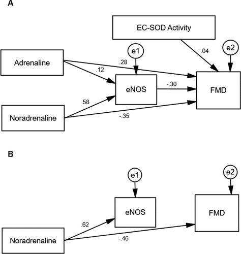 Figure 3 The path model of HIIT.Notes: (A) The hypothesized model with path coefficients of HIIT. (B) The trimmed model with path coefficients of HIIT. All variables (dependent and independent) are shown in rectangles. Variables not included in the models are shown in circles with (e) sign. Single headed arrows with standardized coefficients link independent variables to dependent variable. The diagrams are plotted and optimized in Amos (version 25.0).Abbreviations: eNOS, endothelial nitric oxide synthase; EC-SOD, extracellular superoxide dismutase; FMD, flow-mediated dilatation.