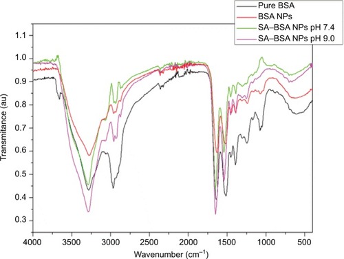 Figure 2 Pure BSA, BSA NPs, and SA–BSA NPs FTIR spectra.
