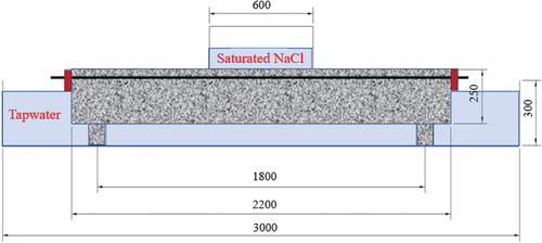 Figure 1. Test model of prestressed reinforcement corrosion (mm).