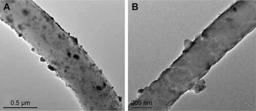 Figure 4 TEM images of (A) PAN/AgSD (ES) nanofiber mats and (B) PAN/AgSD (immersion) nanofiber mats.Abbreviations: TEM, transmission electron microscope; PAN, polyacrylonitrile; AgSD, silver sulfadiazine; ES, in situ electrospun.