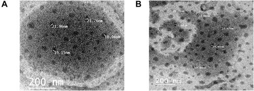 Figure 4 TEM micrographs of (A) collagen-loaded NE, and (B) Vit C-loaded NE.