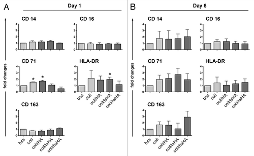 Figure 4. Surface marker profile of MØCC differentiated on aECM. Monocytes were differentiated to MØCC on bsa, coll or different aECMs. Expression of surface markers were analyzed on day one (A) and day 6 (B) of differentiation. Changes in the levels of surface marker expression on MØCC cultured on the different substrates are displayed relative to bsa. Of note is the remarkable induction of CD163 on MØCC differentiated for six days on coll/hsHA. All data are presented as mean ± SD of three independent experiments. *p < 0.05 (compared with bsa).