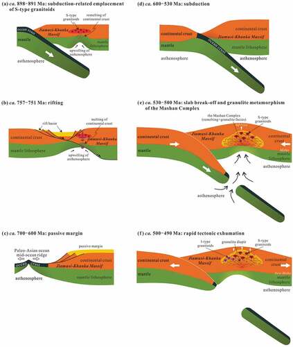 Figure 8. Schematic diagrams illustrating the tectono-magmatic evolution of the Jiamusi–Khanka Massif from early Neoproterozoic to Cambrian times.