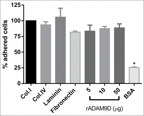 Figure 1. rADAM9D promotes DU145 cell adhesion. Collagen type I (Col.I), collagen type IV (Col.IV), laminin, fibronectin (10 µg) (positive controls) or different quantities of ADAM9D (5, 10 and 50μg) were immobilized in the wells of a 96-well plate in adhesion buffer at 4°C. After blocking with 1% BSA (negative control), CMFDA-labeled DU145 cells (1 × 105 cells/well) were seeded in the wells. The plates were incubated at 37 °C for 30 min, washed, lysed and read for the release of fluorescence. BSA was used as negative control for cell adhesion. The results were obtained from 3 independent experiments in triplicate. The means that are significantly different from those of cells growing on collagen using ANOVA followed by post hoc Dunnett's test were shown by *(P ≤ 0.001). The results were normalized by the collagen type I values in each experiment. The error bars show the SE of three samples with less deviation from the mean.