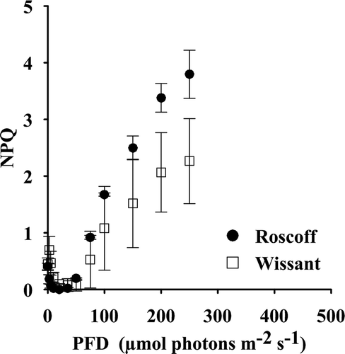 Fig. 2. NPQ of gametophytes of L. digitata from Wissant (□) and Roscoff (●) (n = 3) measured during the data collection for the rETR-I curves.