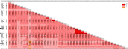 Figure 4. Pairwise comparison analysis. Percent identity matrix generated from 41 APV complete genome sequences using CLC Workbench version 20.0.