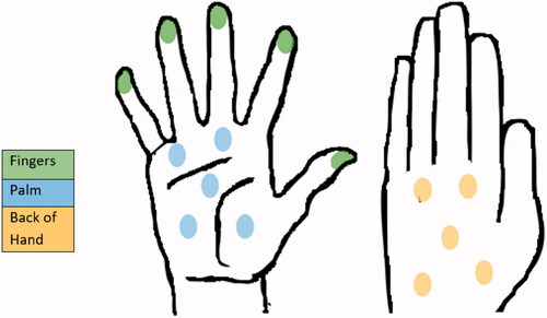 Figure 3. Diagram of hands where moisture measurements were taken.