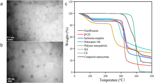 Figure 1. Characterization of enrofloxacin-composite nanosystem. Both (a) Bar = 0.5 μm and (b) Bar = 200 nm are TEM images of enrofloxacin-composite nanosystems. (c) DSC of the enrofloxacin-composite nanosystems and individual components.