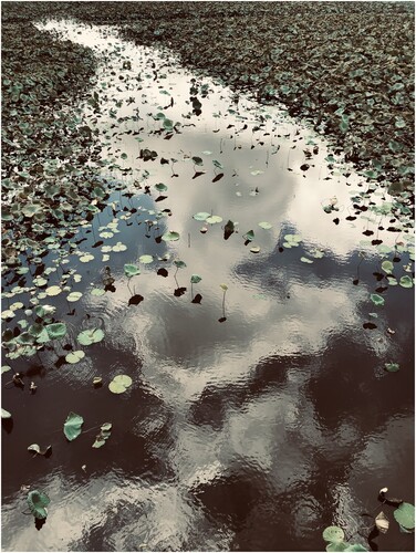 ‘Dreaming Lake’ [Detail], Dongpo Academy, Hainan (Photo: Sunil Manghani).