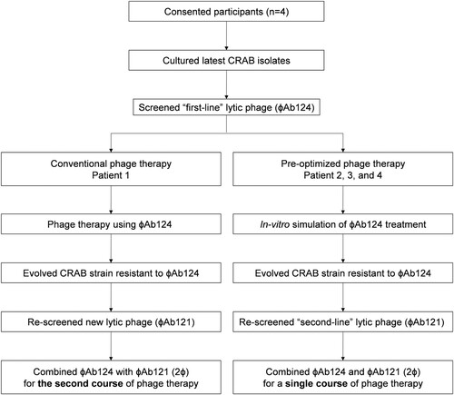 Figure 1. Study diagram. Flow diagram of the conventional phage therapy procedure for Patient 1 and the pre-optimized procedure (via next evolution phage-typing, NEPT) for the rest 3 patients.