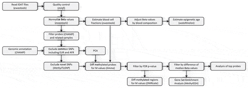 Figure 1. DNA methylation analysis pipeline