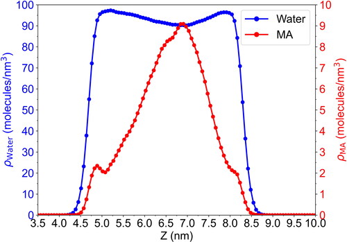 Figure 2. Density profiles from MD simulations of 20 MA in aqueous solution at 298 K.