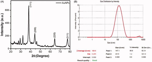 Figure 2. XRD and DLS pattern of AuNPs synthesised from Abies spectabilis.