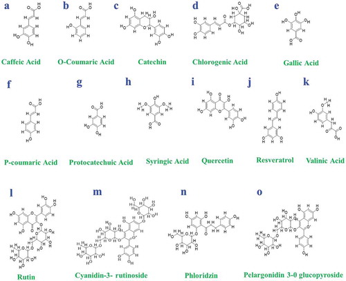 Figure 2. Chemical structures of some biologically active compounds of mulberries: (a) Caffeiec acid, (b) O-Coumaric acid, (c) catechin, (d) chlorogenic acid, (e) gallic acid, (f) p-coumaric acid, (g) protocatechuic acid, (h) syringic acid, (i) quercetin, (j) resveratrol, (k) valinic acid, (l) rutin, (m) cyanidin3-rutinoside, (n) phloridzin, (o) pelargonidin-3-O glucopyroside