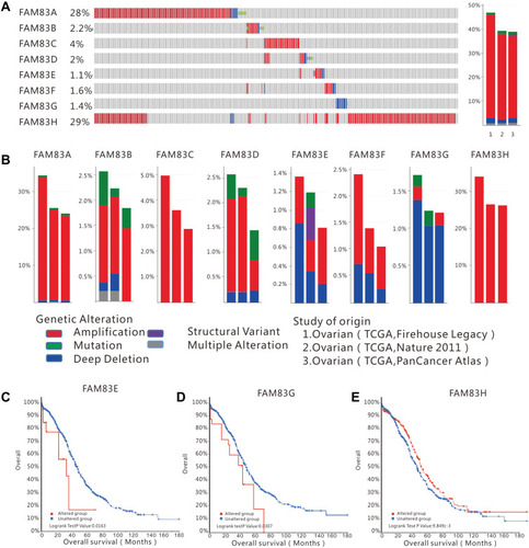 Figure 3 FAM83 family genes alterations in ovarian cancer (cBioportal).