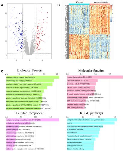 Figure 2 Identification of differentially expressed genes (DEGs) and functional enrichment analysis. (A) The DEGs identified were displayed in a volcano plot. Up-regulated genes are marked in red, and down-regulated genes are labeled in blue. (B) Heat map of the DEGs. (C) Gene Ontology (GO) and Kyoto Encyclopedia of Genes and Genomes (KEGG) pathway enrichment analysis among these DEGs.