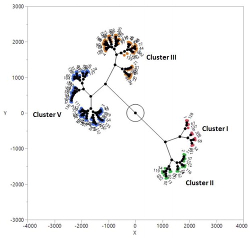 Figure 1. Cluster analysis of 135 safflower accessions based on morphological traits data across two years (2015-2016 and 2016-2017). The x–y coordinates are the principal components, which are linear combinations of the original dimensions.