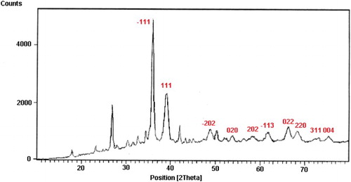 Figure 2. XRD pattern of CuO NPs.