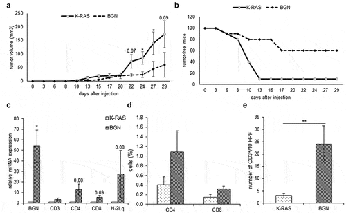 Figure 6. Reduced in vivo tumor growth and enhanced immune cell infiltration of BGNhigh compared to BGNlow K-RAS-transformed fibroblasts in immune competent mice.