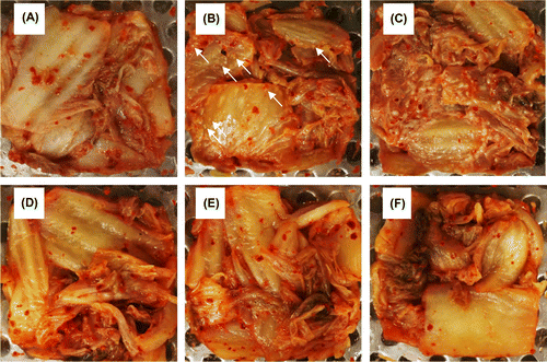 Figure 4. White-colony formation on the surface of kimchi A inoculated with yeast strains. Freshly prepared kimchi A was heat-treated and inoculated with 102 CFU g−1 of Kazachstania exigua (B and E) or K. pseudohumilis (C and F). Control kimchi without yeast inoculation is also shown (A and D). The kimchi was incubated at 15 °C for 21 days (panels A–C) or at 4 °C for 51 days (D–F). Two strains were inoculated individually for each yeast species, but essentially the same results were obtained. White arrows indicate the yeast colonies.