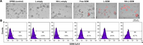 Figure 2 Cellular uptake of GE M formulations.Notes: (A) Fluorescence microscopy images of GEM uptake in BCSCs after treatment of various GEM formulations (scale bar =500 μm). (B) Percentages of GEM uptake in BCSCs quantified by flow cytometric analysis.Abbreviations: BCSCs, breast cancer stem cells; GEM, gemcitabine; DPBS, Dulbecco’s phosphate-buffered saline; L-GEM, liposomal GEM; HA-L-GEM, HA-conjugated liposomal GEM; HA-L, hyaluronan-liposomal; L-empty, liposomes without drug; HA-L-empty, HA-conjugated liposomes without drug; free GEM, GEM in solution.