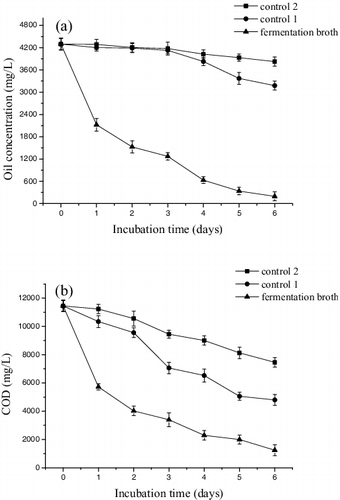 Figure 7. Oil content (a) and COD (b) decrease for P. aeruginosa HFE733 fermentation broth, control 1 and control 2.