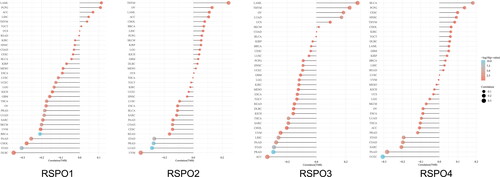 Figure 6. Spearman correlation analysis of TMB and RSPOs expression. The abscissa represents the correlation coefficient between genes and TMB, the ordinate represents different tumors. The size of the dots represents the size of the correlation coefficient, and different colors represent the significance of the p-value. The deeper the blue color, the smaller the p-value.