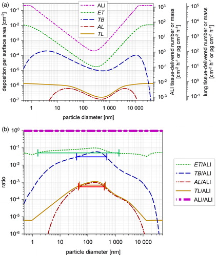 Figure 4. (a) Deposition per surface area for the ALI and for the lung regions. Mean surface deposition in the ALl is calculated with EquationEquation (5a(5a) DAALI(dp,ρp)=DEALI(dp,ρp)AALI(5a) ) as a function of particle size. Total and regional lung surface deposition is calculated with the HPLD model for mouth respiration using EquationEquation (5b(5b) DAlung(r,dp,ρp)=DElung(r,dp,ρp)Alung(r)(5b) ) (see Tables 1–3). The ordinates on the right show the corresponding particle number and mass delivered per surface area at the ALI and in the lung regions. They are calculated with EquationEquations (6b)(6b) TDALIdp,ρp=Q te ∑dpCpdp,ρp DAALIdp,ρp (6b) and Equation(6c)(6c) TDlungr,dp,ρp=Q te∑r∑dpCpdp,ρp DAlungr,dp,ρp (6c) , respectively. Ordinates represent simultaneously the TD for an exposure number concentration of 1 cm−3 and for an exposure mass concentration of 1 µg m−3. Thereby te is set to 1 h for both ALI and lung and Q to 100 cm3 min−1 (Table 1b) for the ALI and to 0.54 m3 h−1 for the lung, what results in a constant factor of 6 × 103 and 540 × 103, respectively. (b) Ratio DAlung(r)/DAALI of the regional lung surface deposition and the ALI surface-deposition (Figure 4a). The horizontal bars show the half-width for the ET (green), TB (blue), AL (red) and TL (yellow) region (Table 6).