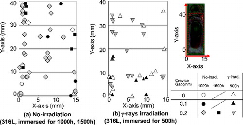 Figure 6. Observed IGA occurrence distribution on the crevice surfaces.