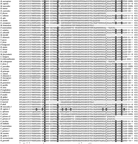 Figure 1. (Continued).