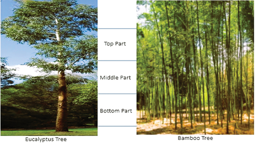 Figure 1. Samples position taken (dimensions are not Scale).