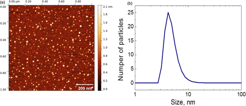 Figure 1. (a) Atomic-force microscopy image of CFO NPs; (b) size distribution of the CFO NPs measured by means of dynamic light scattering.
