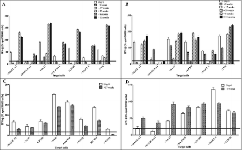 Figure 1. T-cell responses to MAAs in PBMCs of melanoma patients undergoing NGR/VAX treatment. Freshly isolated peripheral blood mononuclear cells (PBMCs) from melanoma patients (#02, 05, 07 and 08) were used to assess their reactivity against melanoma associated antigens (MAA)-derived peptides (MAGE-A2, MAGE-A3, NA-17A, NY-ESO-1, MART-1, gp100, TYR) on HLA-A*01+ 1061 EBV-B (Panel A and D) or HLA-A*0201+ T2 cells (Panels A, B and C) and autologous, when available, or allogeneic HLA-matched tumor cell reactivity (Panel C). Interferon γ (IFNγ)-based ELISPOT assay was used for this analysis. Data are expressed as N. of spots/3 × 104cells and are subtracted of the background of IFNγ release from T cells incubated with EBV-B or T2 control cells alone. Results represent averages of triplicates with SD ≤ 10%; statistical analysis of differences between means of IFNγ released by T cells was performed by 2-tailed Student's t-test; significance defined as p < 0.05.