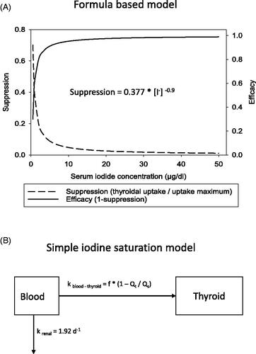 Figure 2. (A) Thyroid blocking model based on an empirically-derived relation between the serum iodide concentration and the suppression of radioiodine accumulation in the thyroid (supression = radioiodine uptake/maximum uptake; efficacy = 1 - supression) (Blum et al. Citation1967). (B) Saturation model expressing the rate constant of iodide transport from blood into the thyroid as a linear function of the total iodine content in the gland relative to a saturation amount (Ramsden et al. Citation1967). In Figure (B) only the part of the model showing the principle of thyroid blocking has been shown and additional compartments of the original model (e.g. for organic iodine or related to absorption) have been voluntarily omitted for simplification. For saturation values see Table 2.