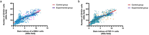 Figure 8 Correlation of CD163, α-SMA, and FSP-1 expression levels in colorectal cancer tissues. (a) Correlation between the Number of CD163+ cells and the stain indices of α-SMA+ cells. (b) Correlation between the Number of CD163+ cells and the stain indices of FSP-1+ cells.