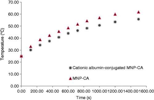 Figure 8. Temperature as a function of time for MNP-CA and cationic albumin-conjugated MNP-CA suspended in distilled water under alternating magnetic field of 215 kHz.