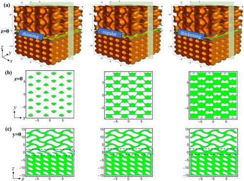 Figure 5. Regulation of the thickness of the transition zone of the heterogeneous metamaterials: (a) established thinning, regular and thickening models, (b) cross section in the x–y plane (z = 0) and (c) cross section in the x–z plane (y = 0).