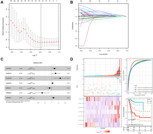 Figure 2 Identification of the prognosis-related lncRNA. (A and B) LASSO coefficient profiles; (C) multivariate cox analysis of seven model lncRNAs; (D) the risk scores, ROC curve, and Kaplan–Meier curve of patients.