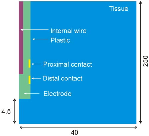 Figure 3. Computer model geometry including the distal section of the electrode and a pair of metal contacts (not to scale).