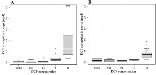 Figure 4. DCF accumulation in A. lixula eggs (A) and sperm (B) measure by HPLC analysis. The circles represent the outlier. Significant accumulation were observed at concentrations over 50 mg/L. The asterisks represent statistical differences (***p < 0.001).