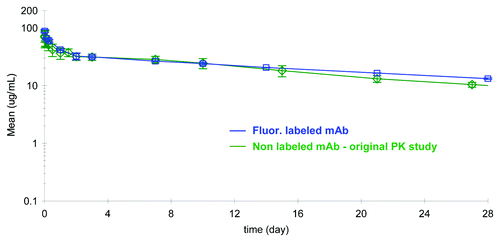 Figure 4. Comparison of the pharmacokinetic profile of labeled mAb, analyzed on the GXII, vs. the non-labeled mAb analyzed by conventional ELISA methods revealed similar profiles.