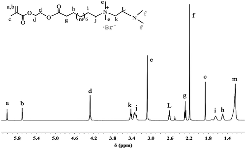 Figure 3. 1H NMR spectrum of MEBU-TMEDA.